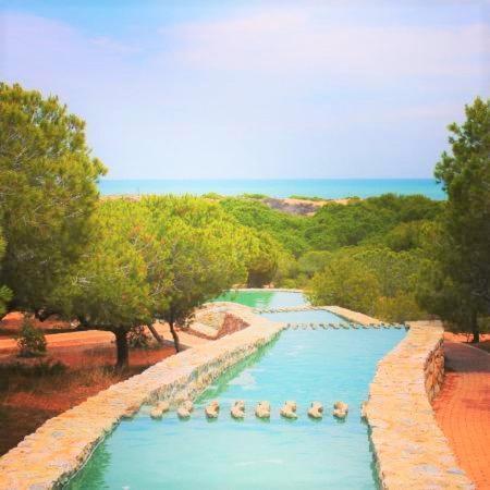Apartment With Pool, Sea Views & Balcony Less Than 10Min Walk To La Mata Beach! Torrevieja Luaran gambar